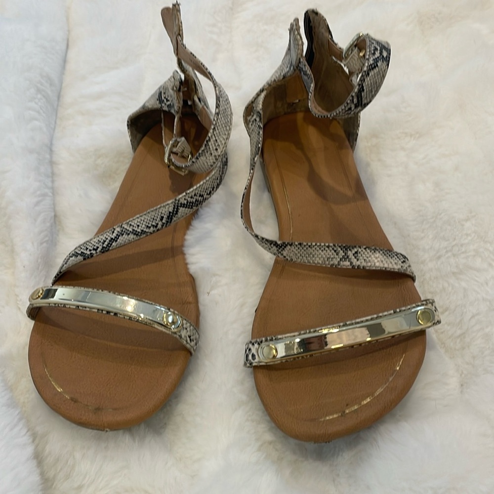 Snakeskin-patterned flat sandals with gold accents and an ankle zipper.